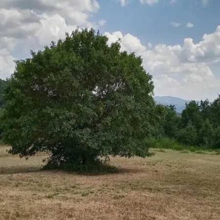 Feriehus In Near Trasimeno