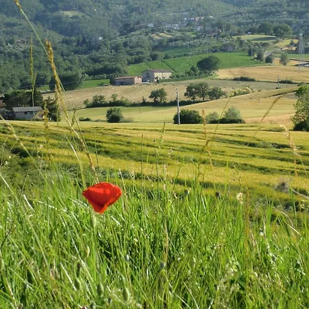 Feriehus In Near Trasimeno *