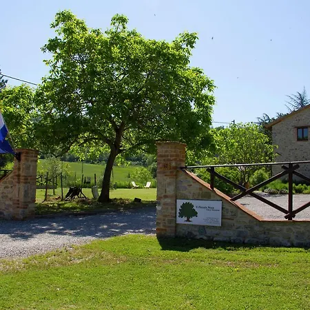 In Near Trasimeno Pietrafitta (Perugia)